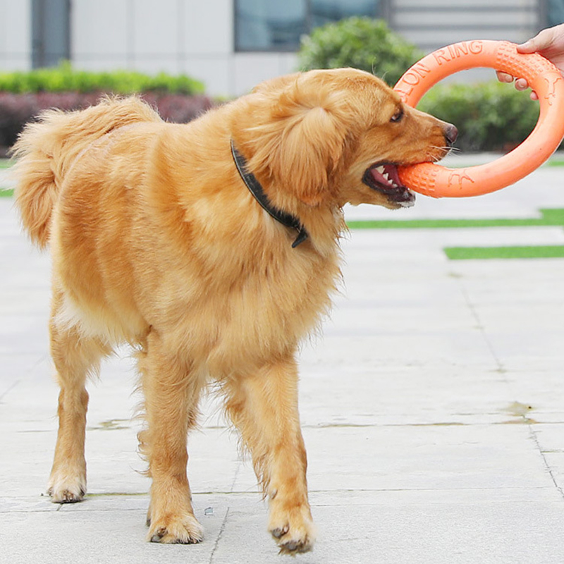 1pc Orange Dog Toys Pet Flying - Flying Disc Dog Training Toy review and price