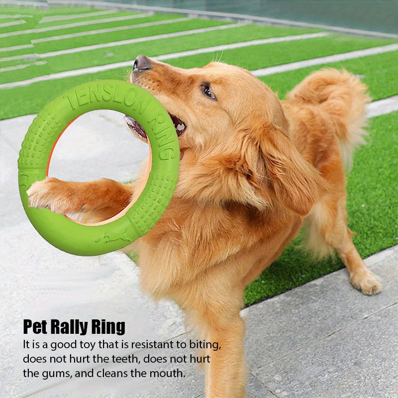 Dog Training Toys Outdoor Spor - Flying Disc Dog Training Toy review and price