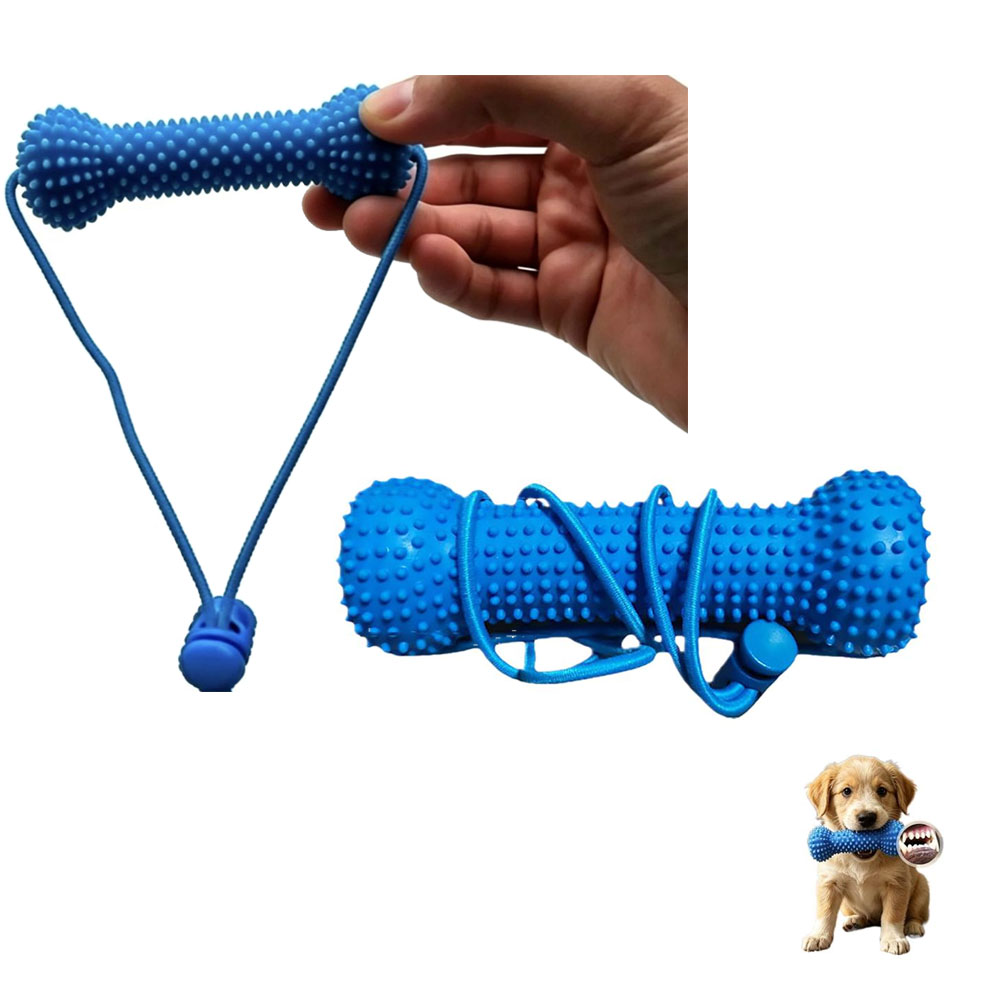 Dog Teeth Cleaning Chew Toy Bi - Teeth Cleaning Dog Chew Bone review and price