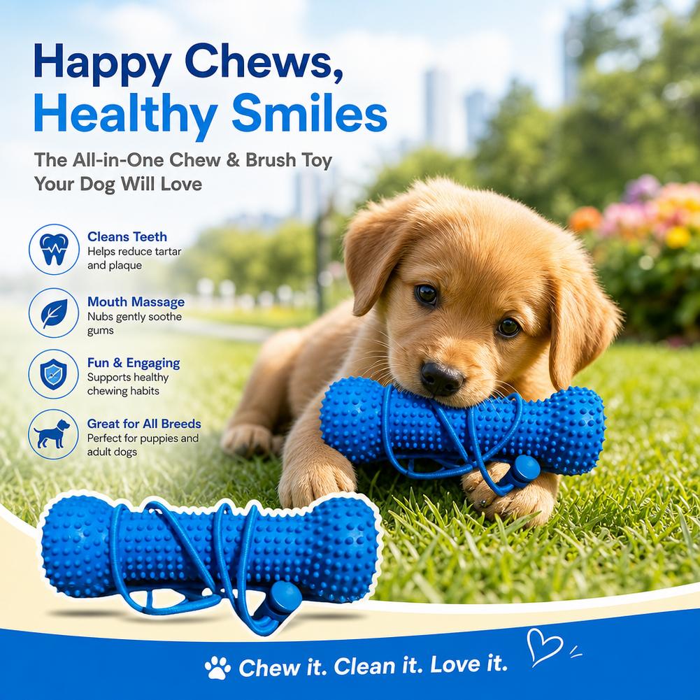 Dog Teeth Cleaning Chew Toy Bi - Teeth Cleaning Dog Chew Bone review and price