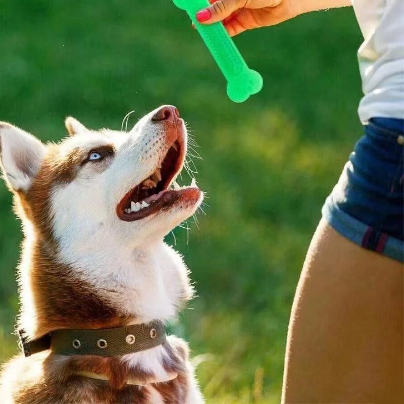 Super Tough Dog Bone Chew Toy  - Teeth Cleaning Dog Chew Bone review and price