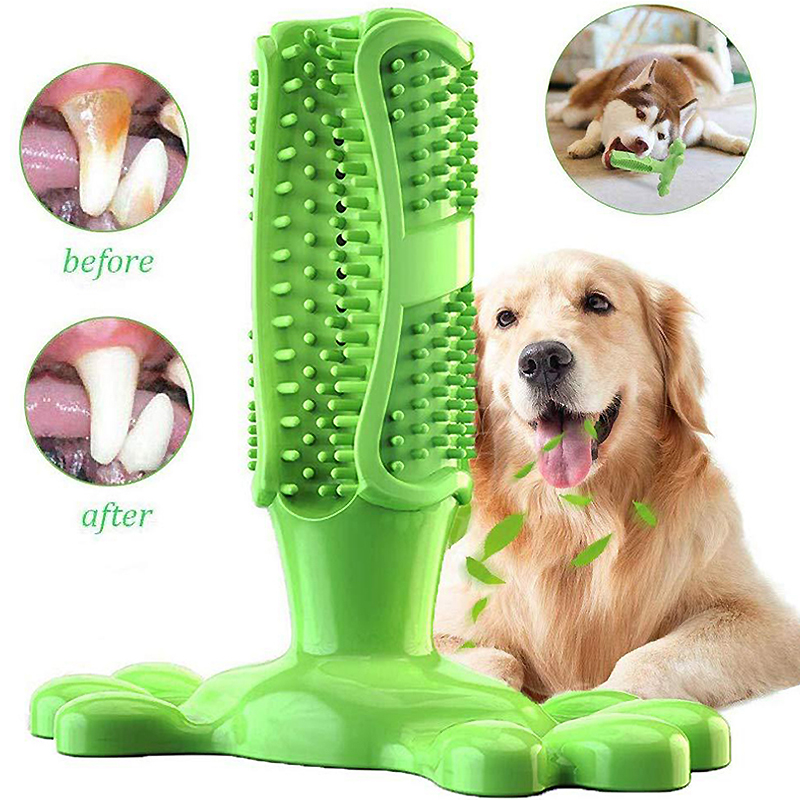 Pet Dog Cactus Interactive Rub - Rubber Treat Dispensing Dog Toy review and price