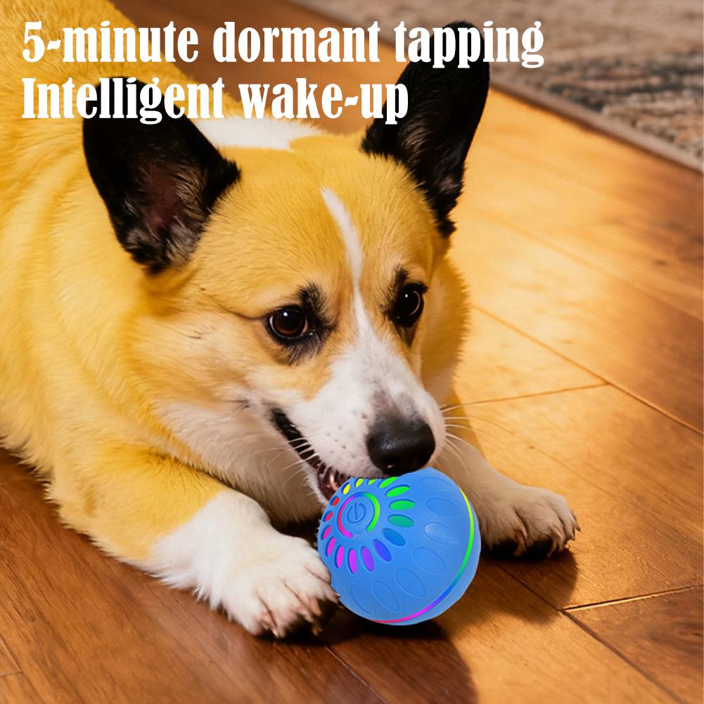 Smart Dog Toy Ball Automatic I - Automatic Moving Dog Ball review and price
