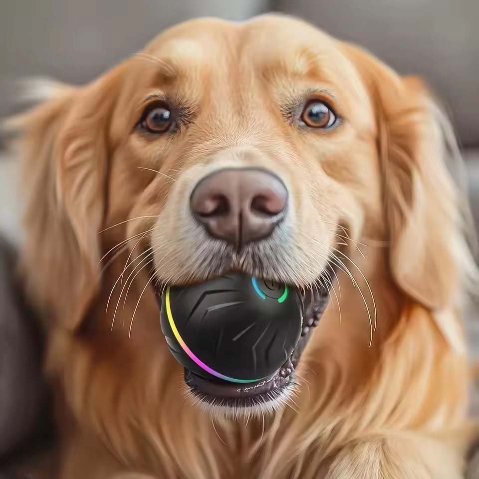 Interactive Smart Dogs Toys Ba - Automatic Moving Dog Ball review and price