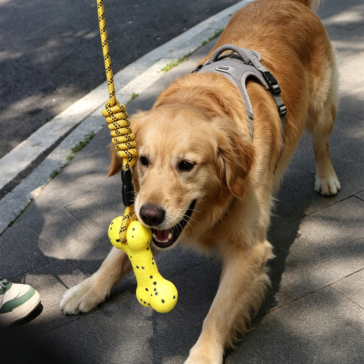 Heavy Duty Dog Tug Rope Toy ET - Dog Rope Toy Aggressive Chewers review and price