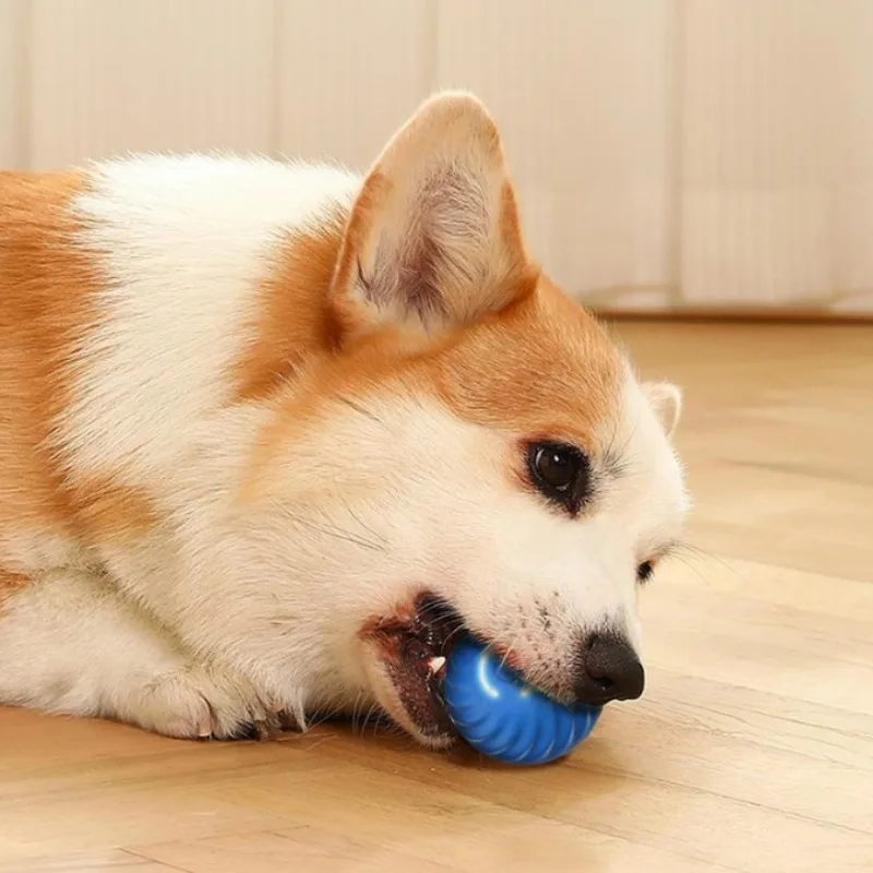 SS Pet Toy Ball Automatic Movi - Automatic Moving Dog Ball review and price