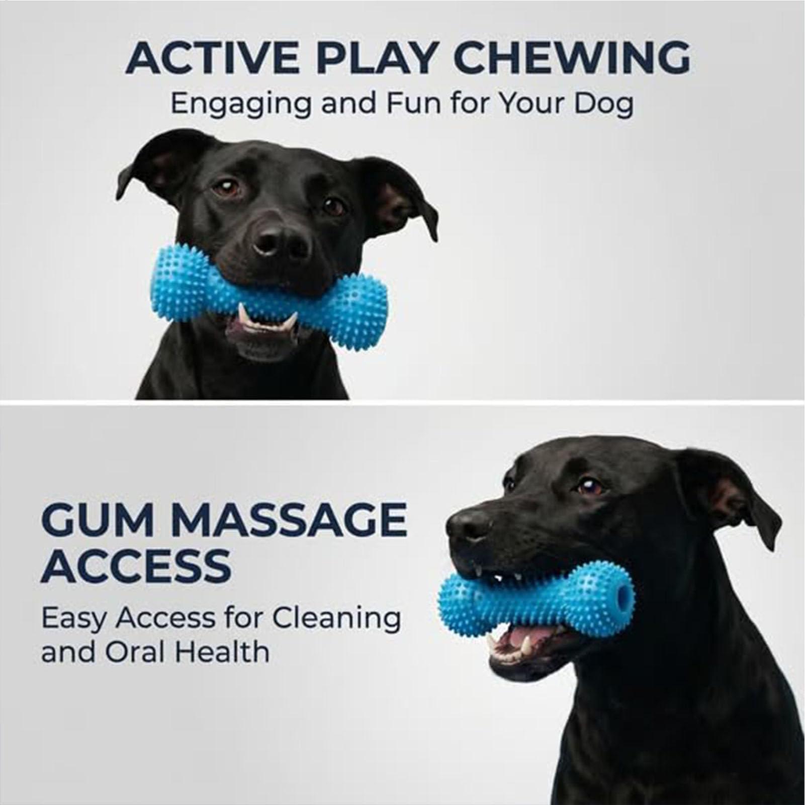 Dog Toothbrushing Toys Chewer  - Rubber Treat Dispensing Dog Toy review and price