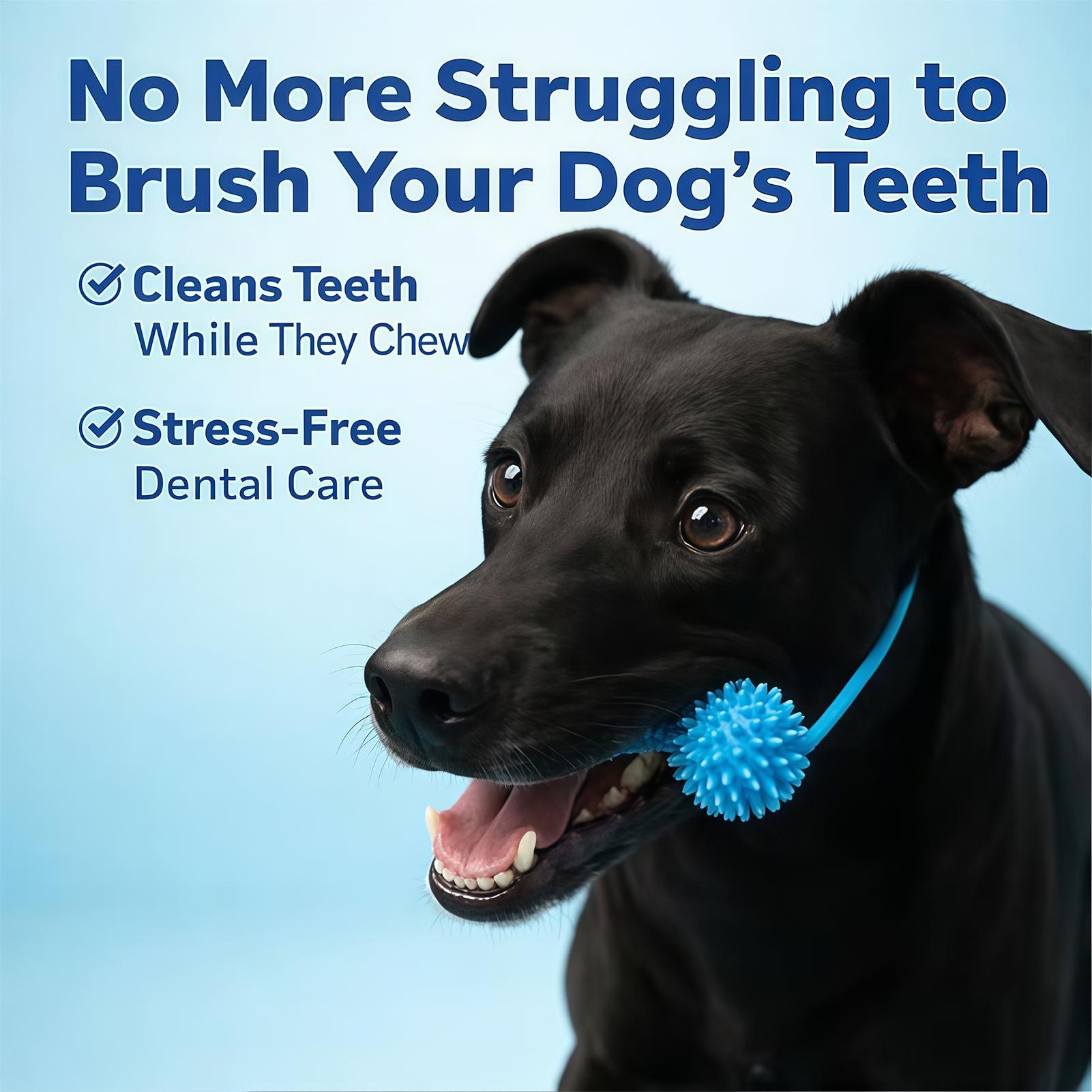Dog Toothbrushing Toys Chewer  - Rubber Treat Dispensing Dog Toy review and price