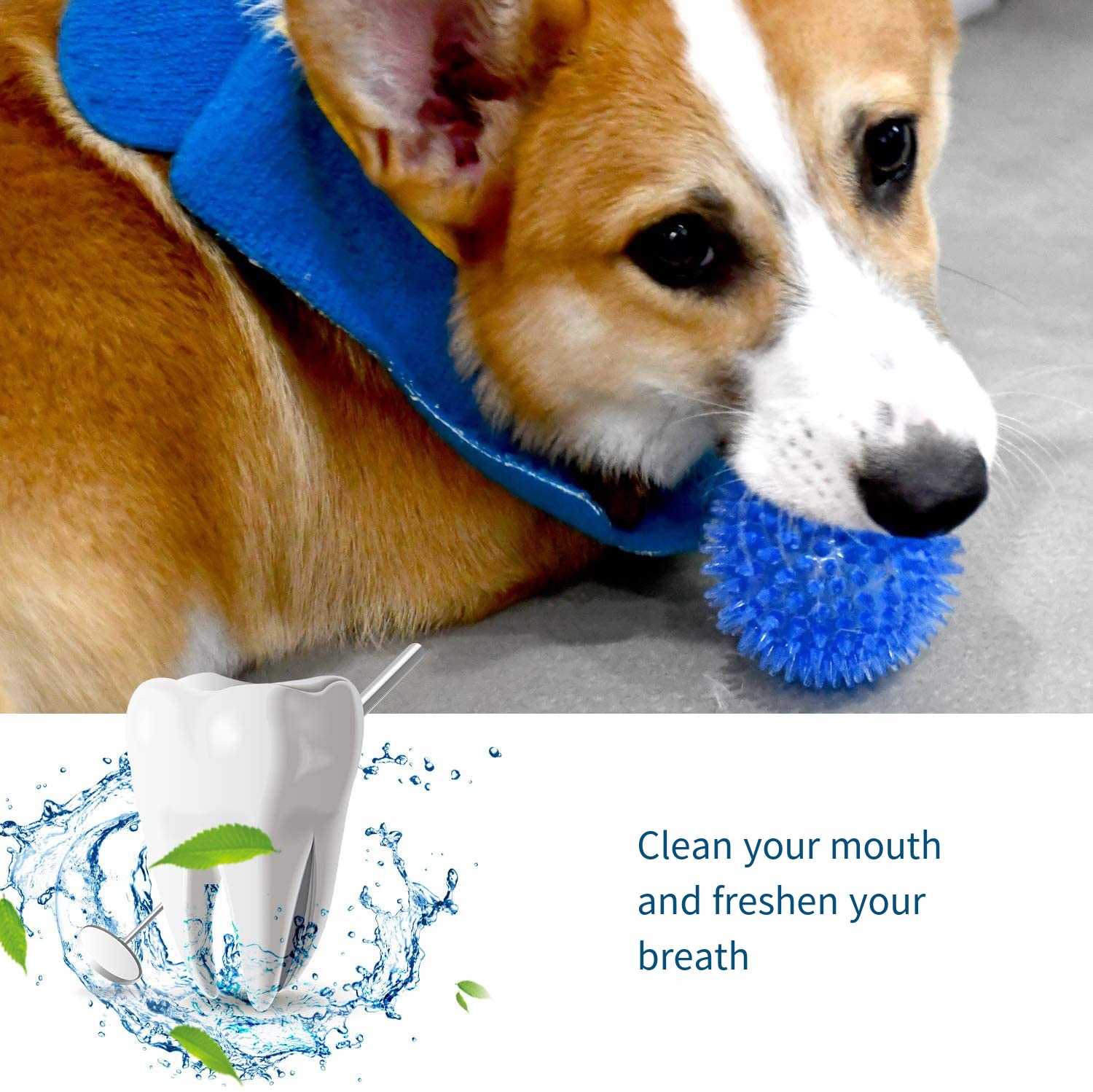 Dog Toys Sound Toy Bouncy Ball - Suction Cup Dog Tug Toy review and price