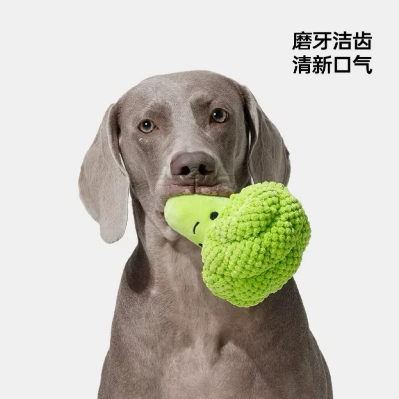 Dog Sound Toy for Teeth Grindi - Interactive Squeaky Plush Dog Toy review and price