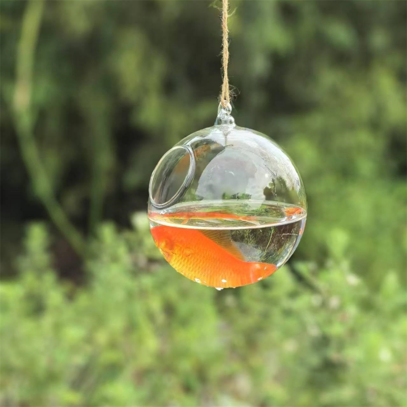 Small Packing Diameter=10cm 12 - Aquarium review and price