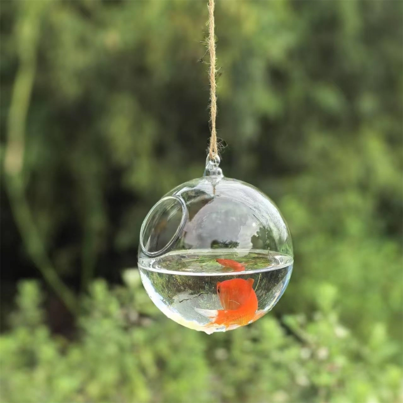 Small Packing Diameter=10cm 12 - Aquarium review and price