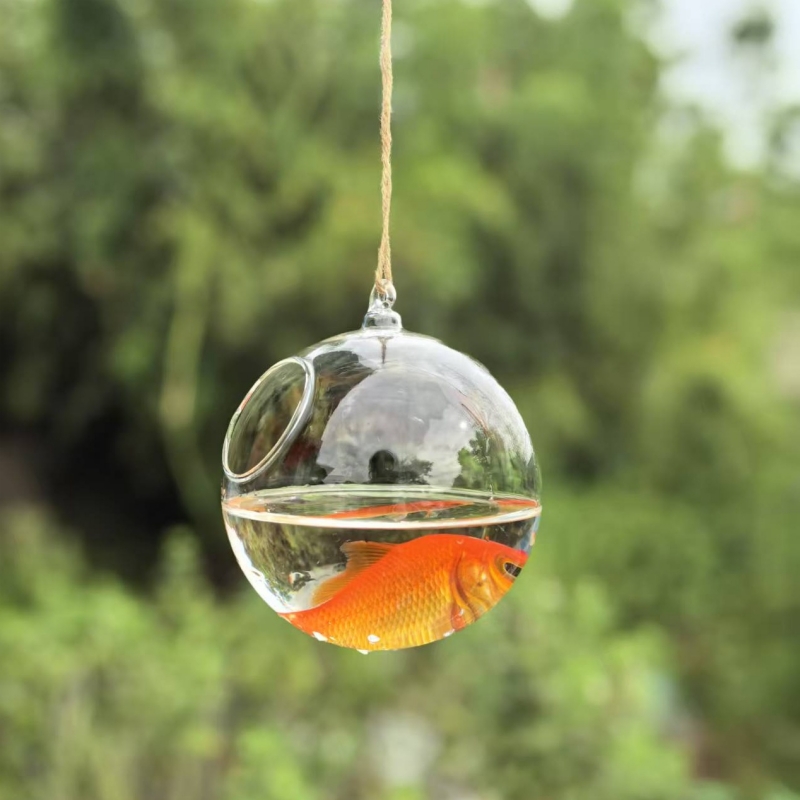 Small Packing Diameter=10cm 12 - Aquarium review and price