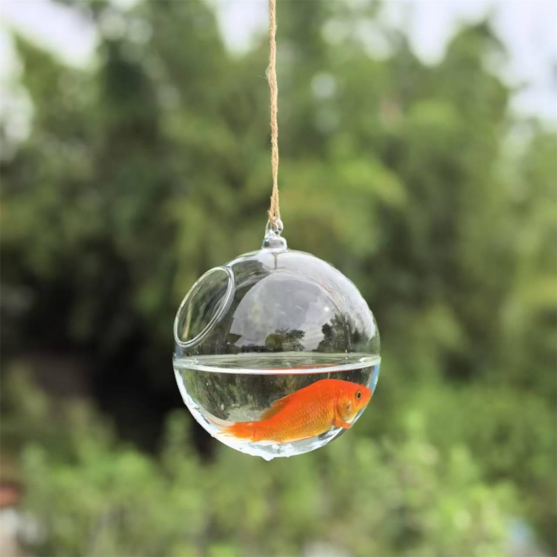 Small Packing Diameter=10cm 12 - Aquarium review and price