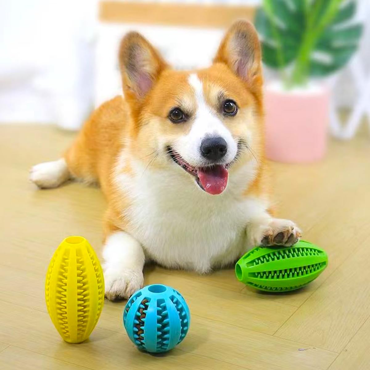 Pet Dog Chew Toys Teeth Cleani - Indestructible Dog Chew Toy review and price