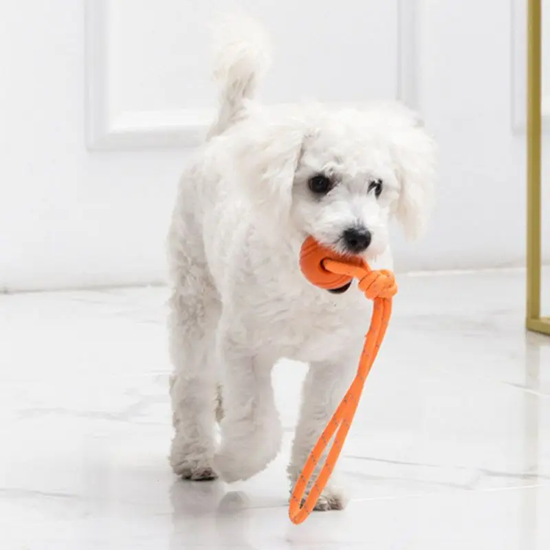 Dog Training Ball on Rope Cott - Suction Cup Dog Tug Toy review and price