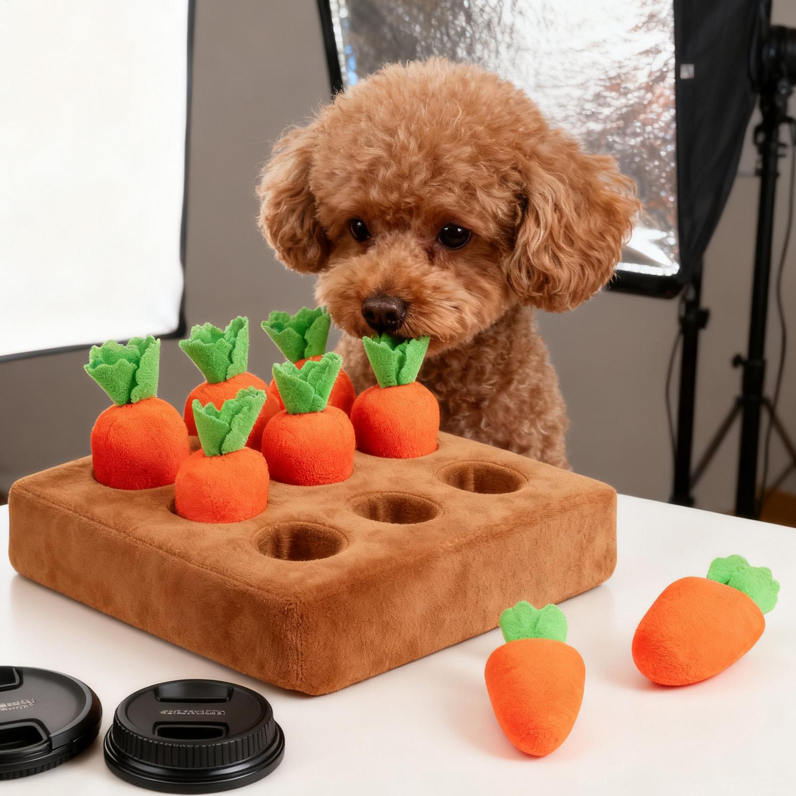 Pet Carrot Interactive Toys Do - Snuffle Mat For Dogs review and price