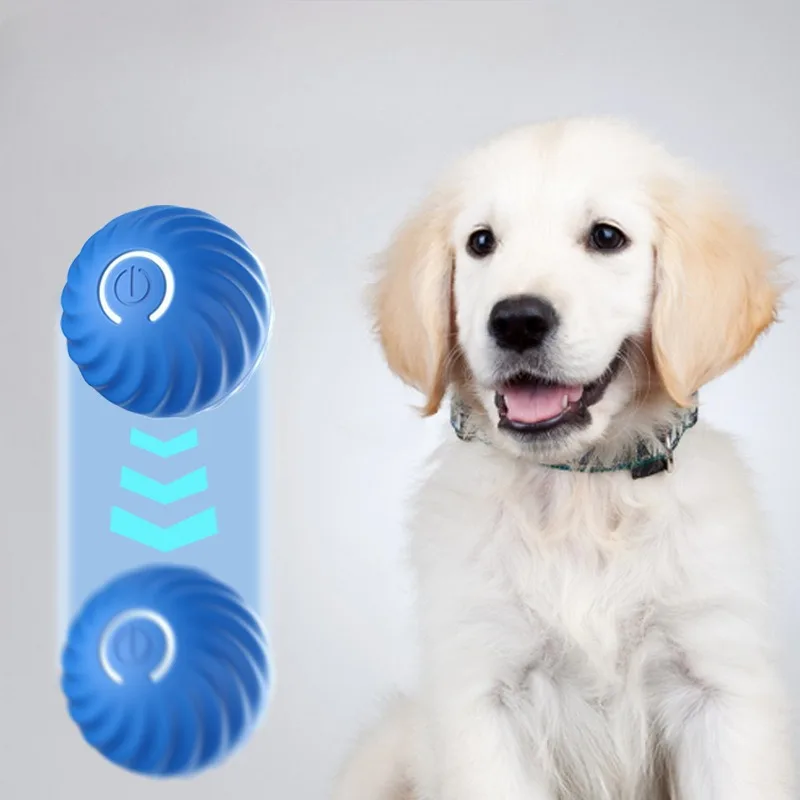 @1G-Pet Toy Ball Automatic Mov - Automatic Moving Dog Ball review and price