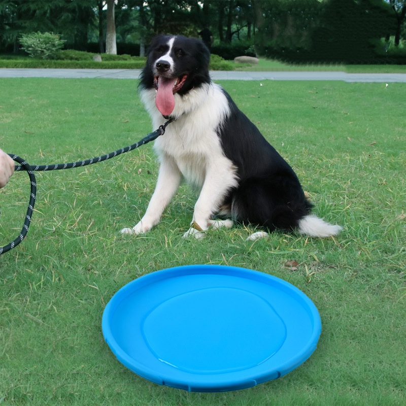Interactive Silicone Flying Sa - Flying Disc Dog Training Toy review and price