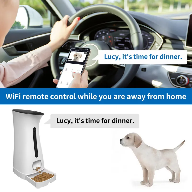Wifi Pet Feeder Camera For Voi - Pet Feeders review and price