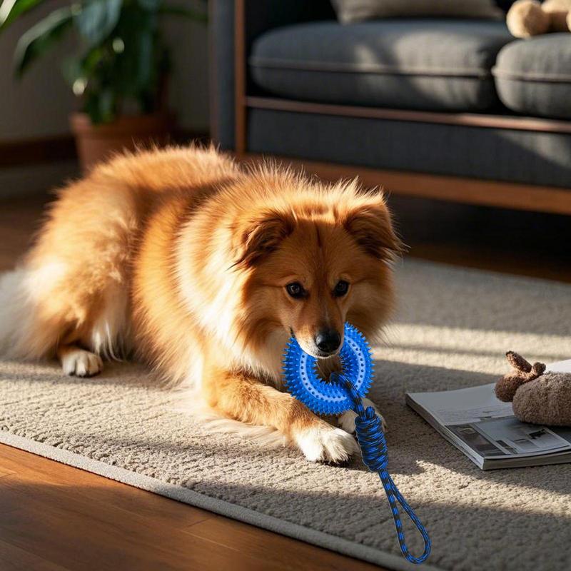 Squeaky Toys For Dogs Spiky Ri - Dog Rope Toy Aggressive Chewers review and price