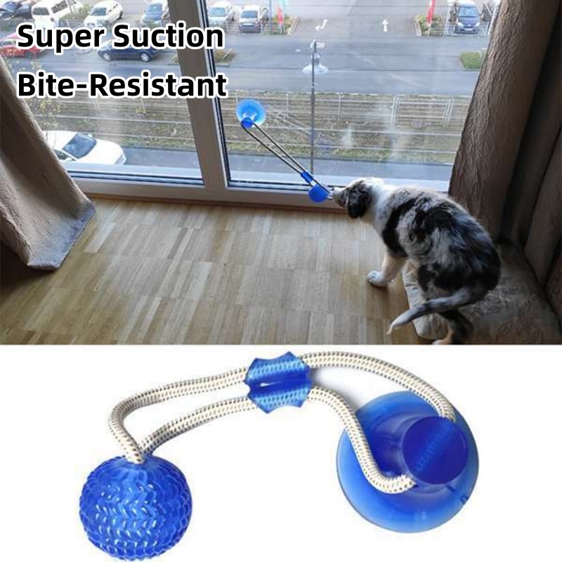 Durable Suction Cup Dog Tug To - Suction Cup Dog Tug Toy review and price