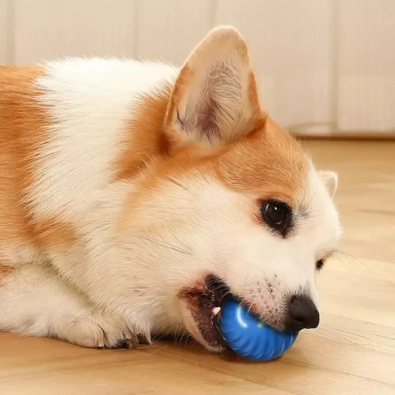 Automatic Moving Dog Toy Ball  - Automatic Moving Dog Ball review and price