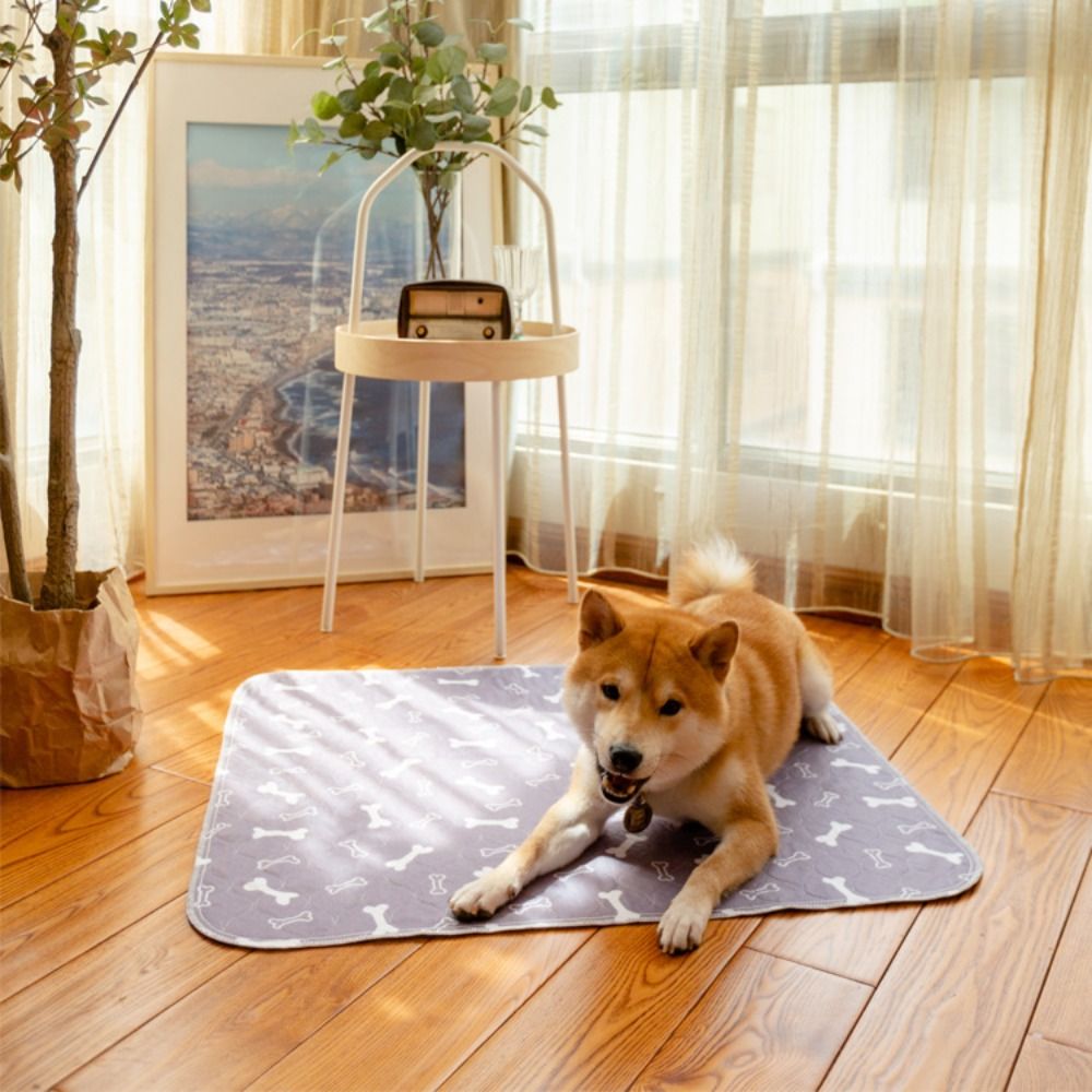 Durable Super Absorbent Pet Be - Pet Beds review and price