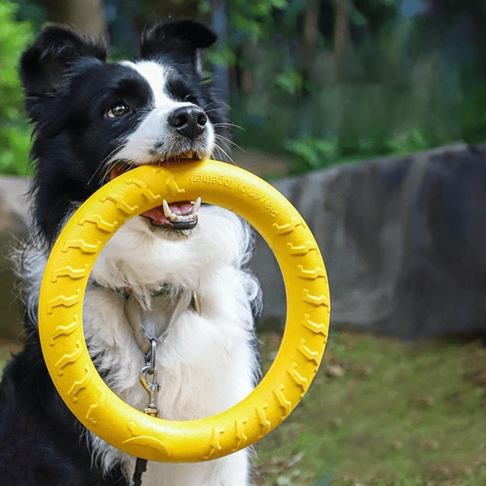 Dog Ring Toys Indestructible C - Indestructible Dog Chew Toy review and price