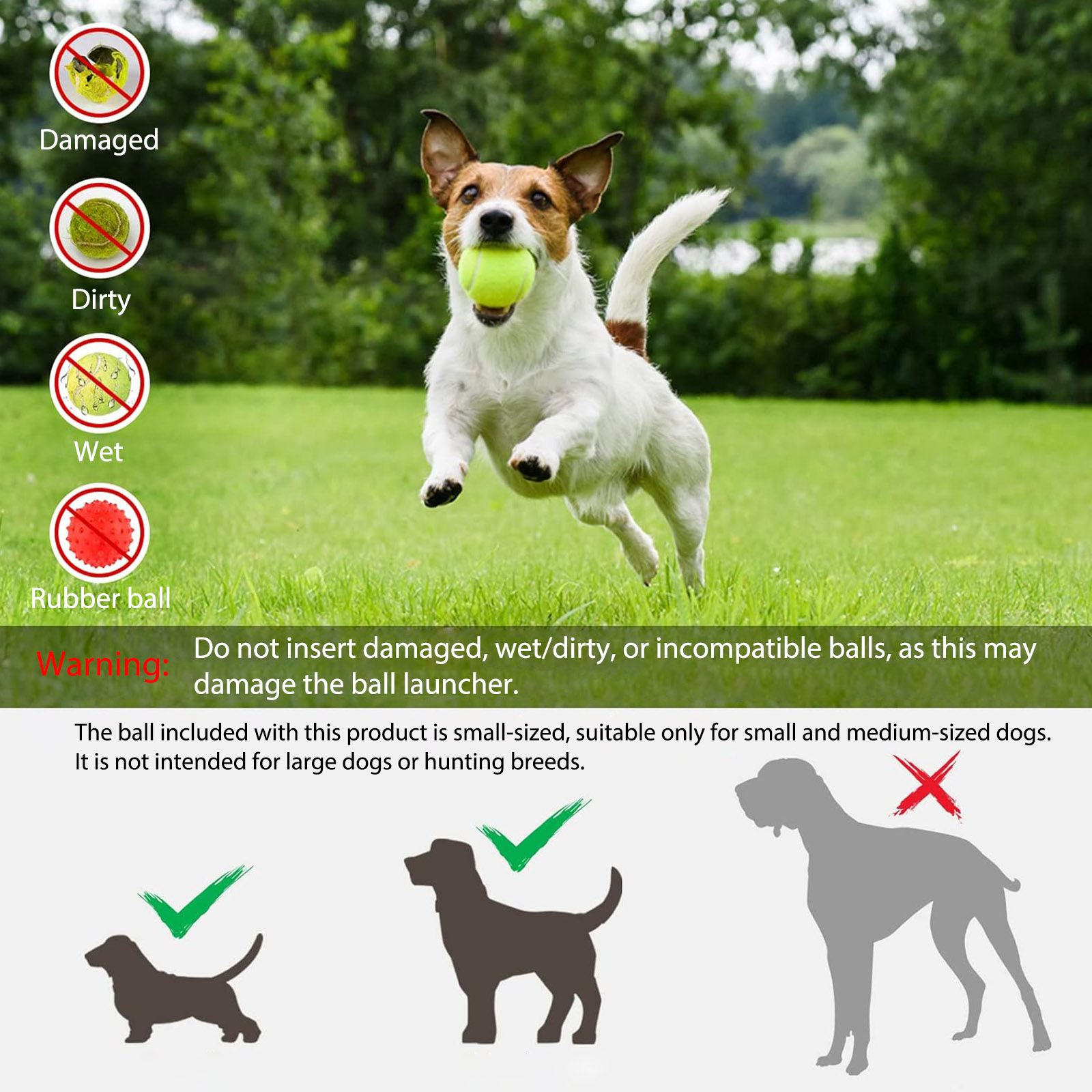 Automatic Dog Ball Launcher, A - Dog Toys review and price