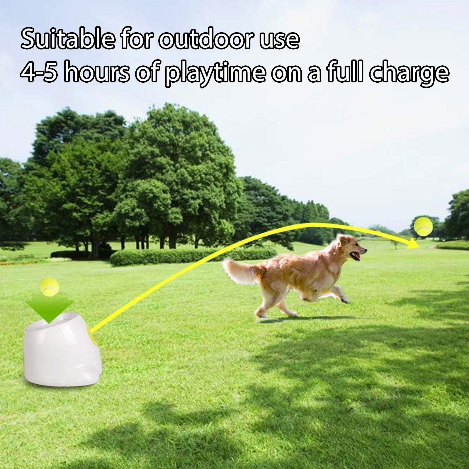 Automatic Dog Ball Launcher, A - Dog Toys review and price