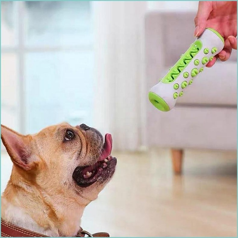 TPR Dog Molar Stick Chew Toy D - Teeth Cleaning Dog Chew Bone review and price