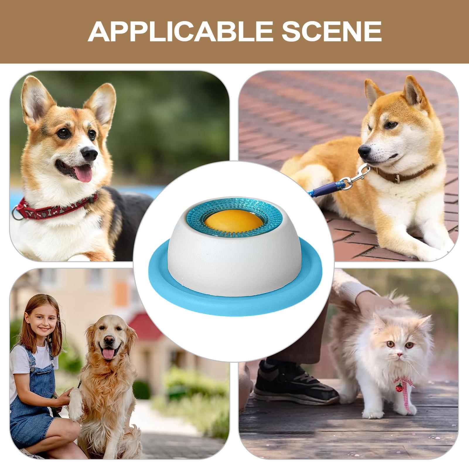Dog Treat Toy Pet Feeding Acce - Dog Puzzle Feeder Toy review and price
