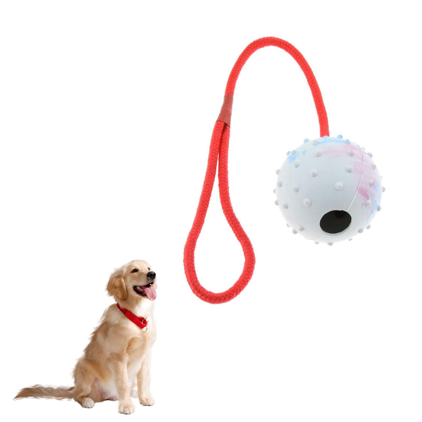 Pet Training Toy Soft Rubber C - Rubber Treat Dispensing Dog Toy review and price